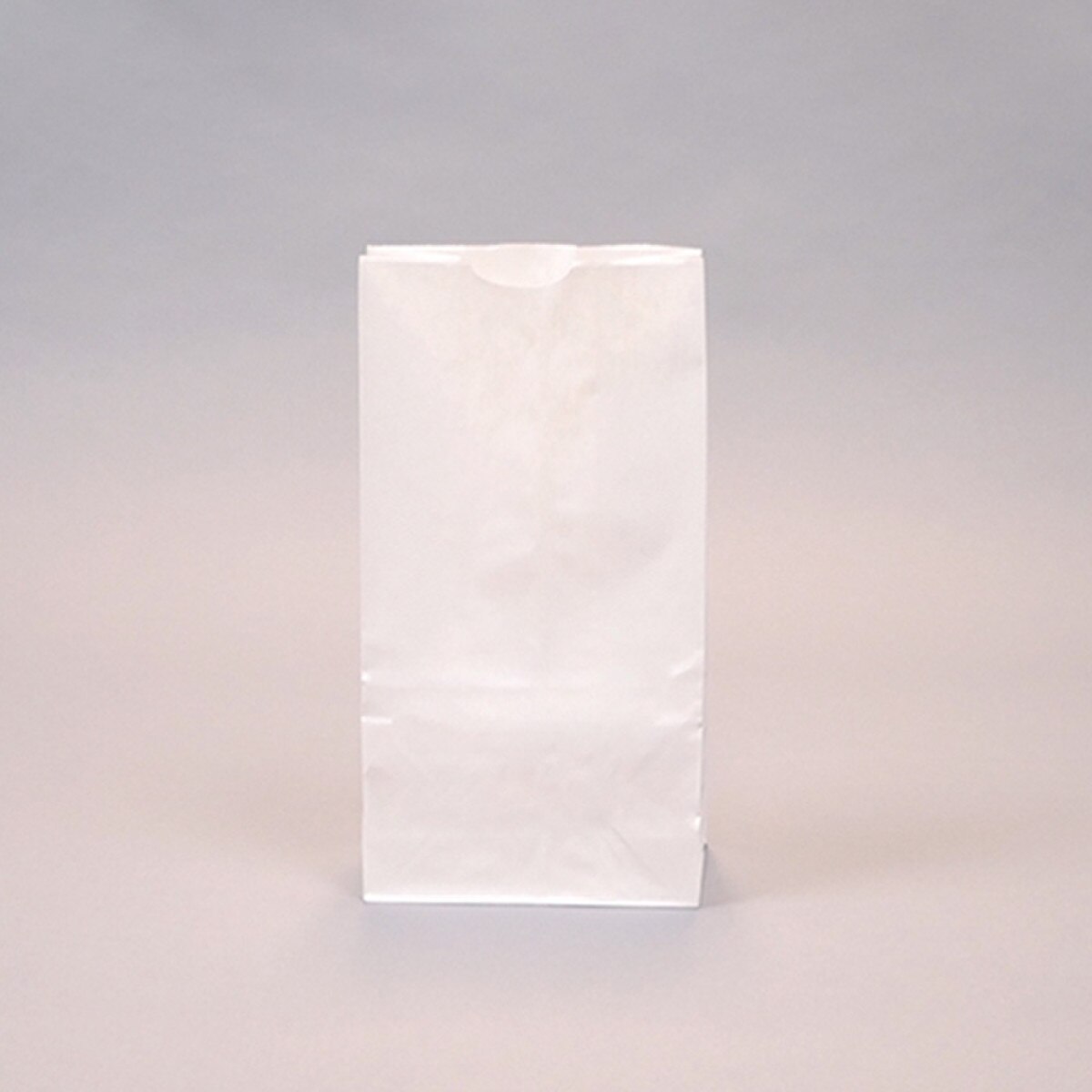 6 lb. White Kraft Paper Bakery Bags